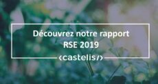 Télécharger le rapport RSE 2019 de Castelis France