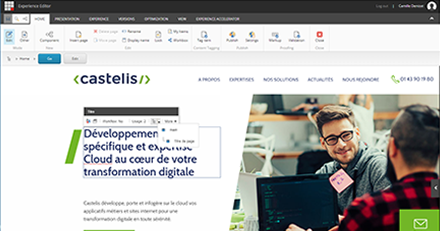 Sitecore experience editor castelis